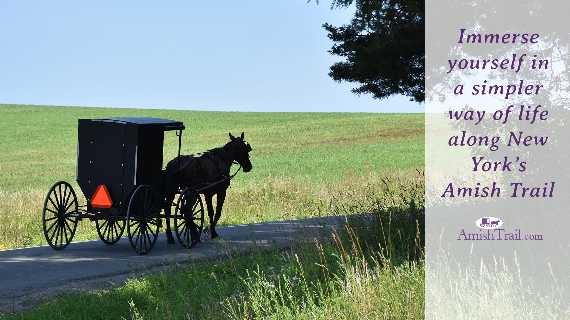 Immerse yourself in a simpler way of life along New York's Amish Trail