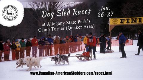 Dog Sled Races at Allegany State Park on Jan 26-27, 2013