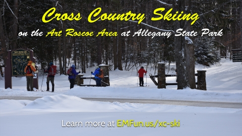 Cross Country Ski at the Art Roscoe Trail System 
