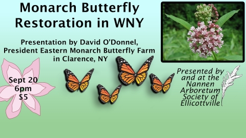Monarch Butterfly Restoration at Nannen Arboretum 