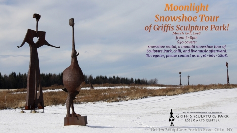 Moonlight Snowshoe Tour of Griffis 