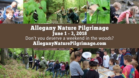 2018 Allegany Nature Pilgrimage