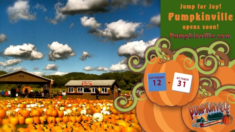 Pumpkinville!