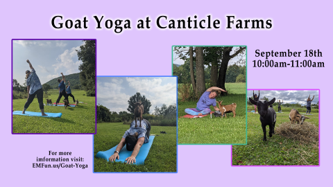 Goat Yoga at Canticle Farms
