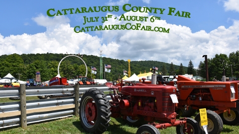 Cattaraugus County Fair slide