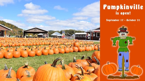 Pumpkinville is now open! September 17 - October 31