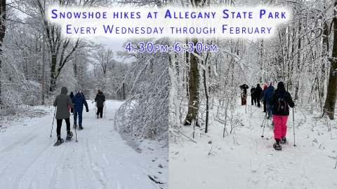 Snowshoe Hikes at ASP through February, 4:30-6:30