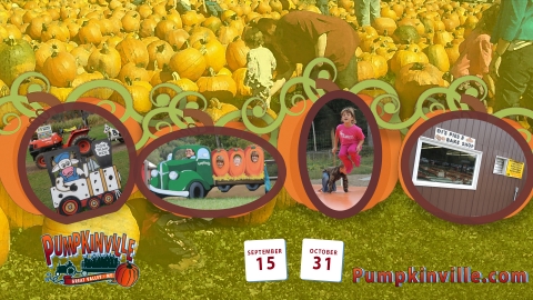 Pumpkinville opens for the season 2018