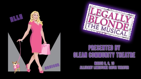 Legally Blonde the Musical 