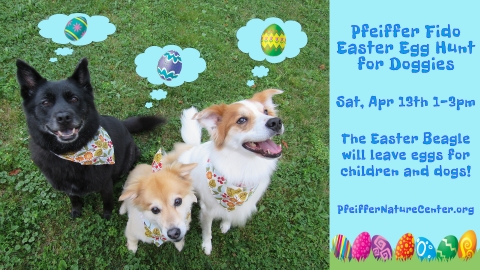 Pfeiffer Nature Center's Fido Easter Egg Hunt