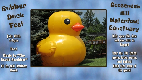 2019 Rubber Duck Festival at Gooseneck Waterfowl Sanctuary