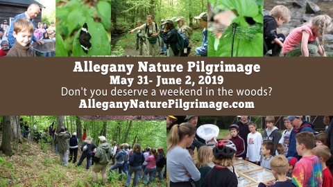 Allegany Nature Pilgrimage at Allegany State Park 