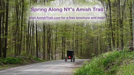 Spring Along NY's Amish Trail